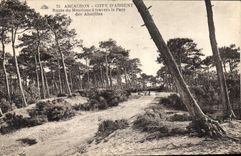 CPA Arcachon Cote D'Argent Route du Moulleau a Travers le Parc des Abatilles