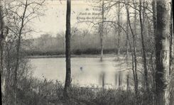 CPA Velizy Foret de Meudon Etang des Ecrevisses
