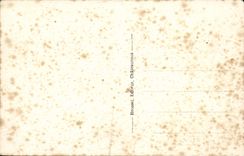 VINTAGE POSTCARD Chateauneuf On Expensive View the Park and the Lathe