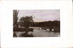 VINTAGE POSTCARD Fantasy Swans