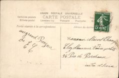 VINTAGE POSTCARD Fantasy Swans