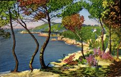 VINTAGE POSTCARD Surroundings Of Toulon the Brown Cape