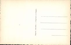 CPM Fantaisie Bonne Annee