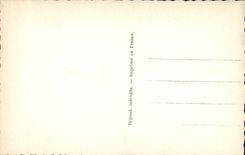 CPM Fantaisie Bonne Annee