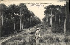 VINTAGE POSTCARD Royan the Park Lost In the Drill