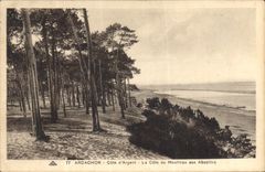 CPA Arcachon Cote D'Argent La Cote Du Moulieau Aux Abatilles