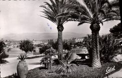 MODERN CARD Cannes the Garden of Hesperides