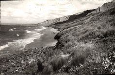 MODERN CARD Houlgate Cliffs and sea