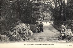 VINTAGE POSTCARD Nantes Botanical garden an Alley