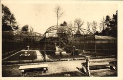 VINTAGE POSTCARD Zoological gardens of Cleres the birdcages Zoo