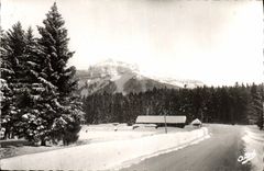 CPM Route Dans Les Alpes 