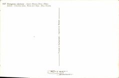 VINTAGE POSTCARD Eryngium alpinum