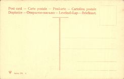 CPA Firenze Gall Pitti Sacra Famiglia Andrea del Sarto