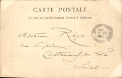 VINTAGE POSTCARD Lyon the Statue of the Republic Places Carnot