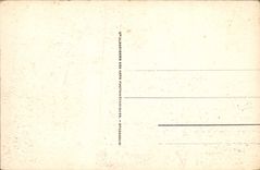 VINTAGE POSTCARD Vittel the Rosery