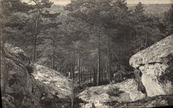 VINTAGE POSTCARD Drill of Fontainebleau Descent of the Acute Mount