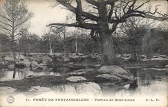 VINTAGE POSTCARD Drill De Fontainebleau Plate Of Beautiful Cross