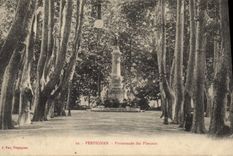 VINTAGE POSTCARD Perpignan Walk Of the Plane trees