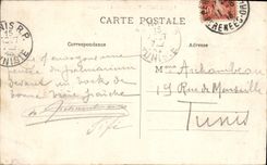 VINTAGE POSTCARD Perpignan View And Canigou