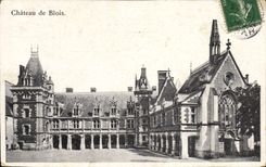 CPA Chateau De Blois