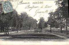 VINTAGE POSTCARD Layered branches Large Walls