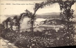 VINTAGE POSTCARD Nice Seen from Between the Flowers