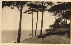 VINTAGE POSTCARD Moulleau Park Of Abatilles