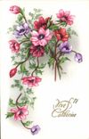 VINTAGE POSTCARD Fantaisie Flowers Lives Catherine