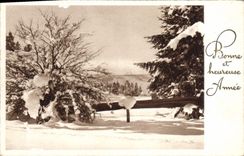 CPA Bonne Et Heureuse Annee