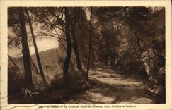 VINTAGE POSTCARD Hyeres the road of the Mount of the Birds