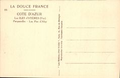 VINTAGE POSTCARD Islands of Hyeres Porquerolles pines of Alep