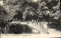 CPA Vichy Le Nouveau Parc Les cygnes