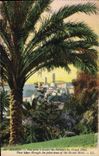 CPA Grasse Vue Prise a Travers les Palmiers du Grand Hotel 