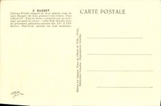 VINTAGE POSTCARD Castle Of Busset Bourbon