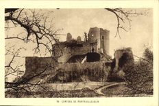 CPA Chateau De Montaigu Le Blin