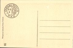 Sitio de Enrique IV del castillo de Pau de la POSTAL de la VENDIMIA del sovereign conocido como d Albret de Enrique