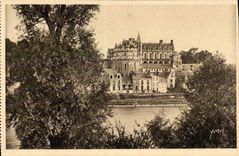 CPA Le Chateau D'Amboise Vu Des Bords De La Loire