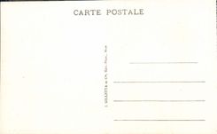 CPA Nice Palais de la jetee entre les palmiers