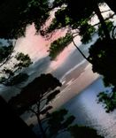 CPM Cote d'Azur Contre jour