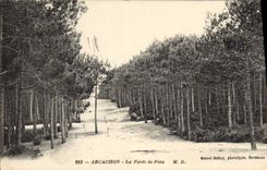VINTAGE POSTCARD Arcachon the Drill Of Pines