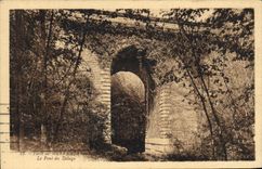CPA Mervent Le Pont Du Deluge