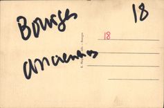 VINTAGE POSTCARD Bourges Garden Of Close Fichaux the Brook with the Irises