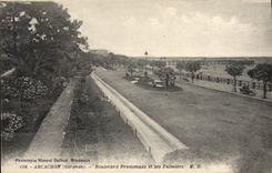 VINTAGE POSTCARD Arcachon Boulevard Walk and its Palm trees