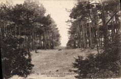 CPA Arcachon Cote D'Argent La Grande Dune