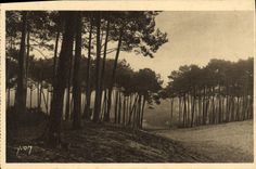 VINTAGE POSTCARD Arcachon Grendes Dunes of the Town of Winter