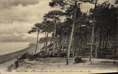 CPA Arcachon Vue au Pare des Abatilles une Echappee sur la Mer