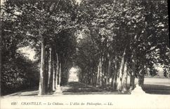 VINTAGE POSTCARD Castle Of Chantilly the alley of the philosophers