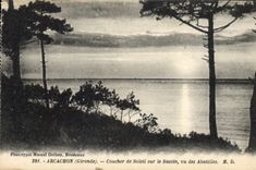 CPA Arcachon Coucher De Soleil Sur Le Bassin Vu Des Abatilles