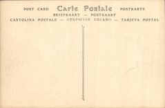 Paladar de la POSTAL de la VENDIMIA de la corte de mármol de Versalles