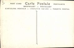 CPA Amboise Vue Sur Le Chateau